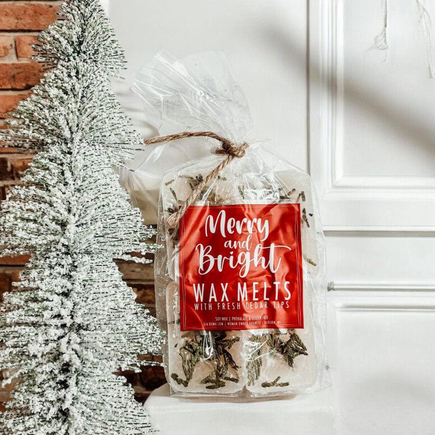 Shop curated, non-toxic skincare & home gifts under $50. Plant-based, clean, and sustainably packaged for thoughtful gifting.