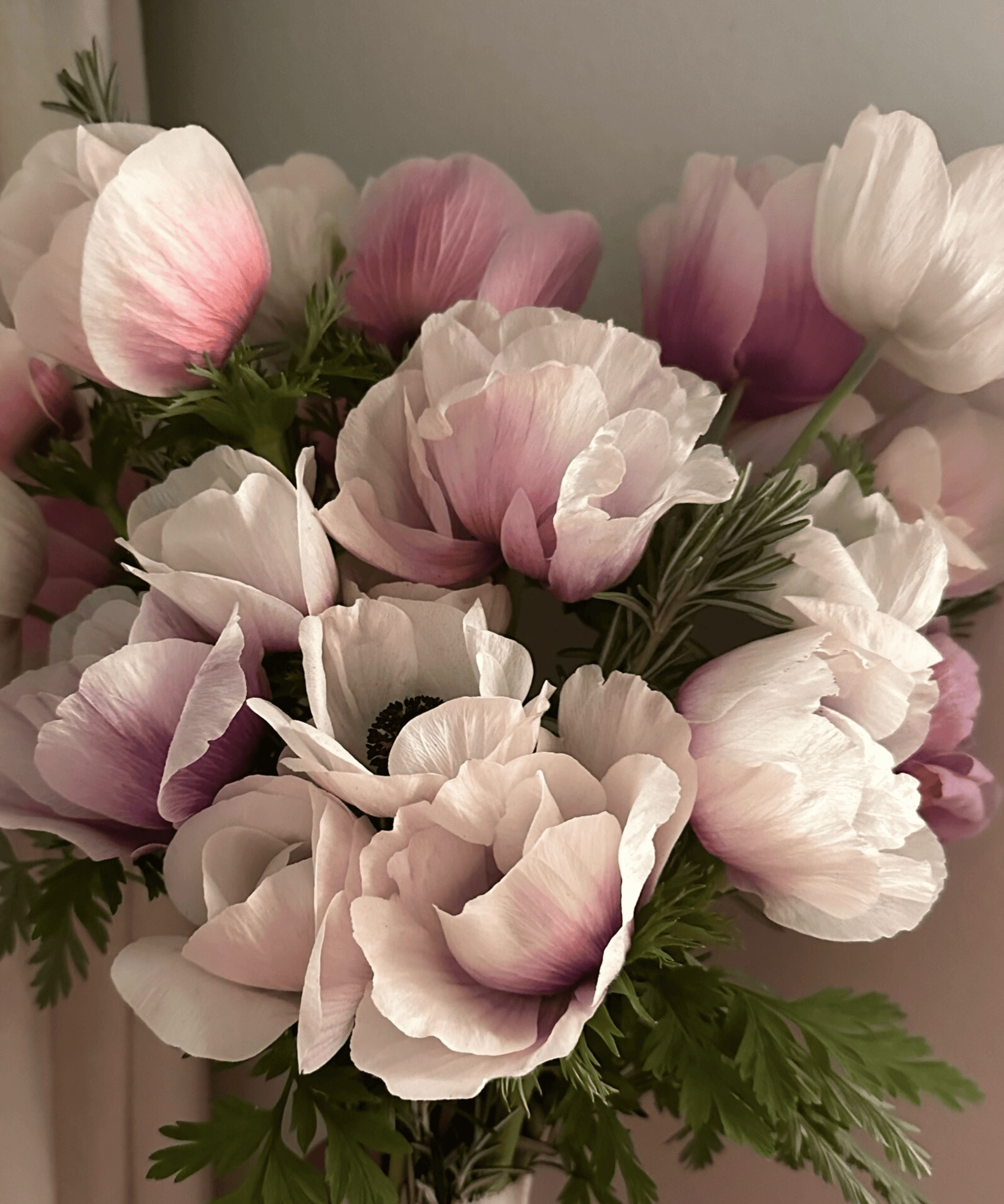 Little Mountain Flowers Favicon - bouquet of pink and white anemones and green leaves