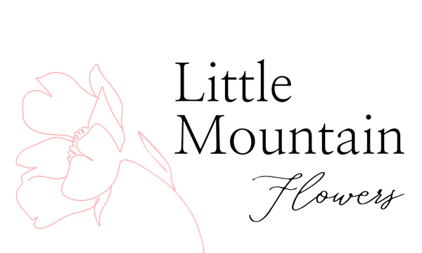 Logo for 'Little Mountain Flowers' with a floral design on a white background