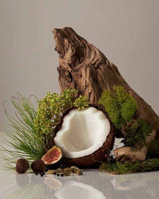 Half a coconut surrounded by greenery and a piece of driftwood representing the Cocomoi fragrance on a reflective surface.