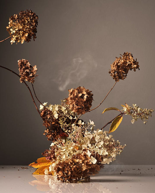 Dried Cece flowers on a reflective surface with a dark background.
