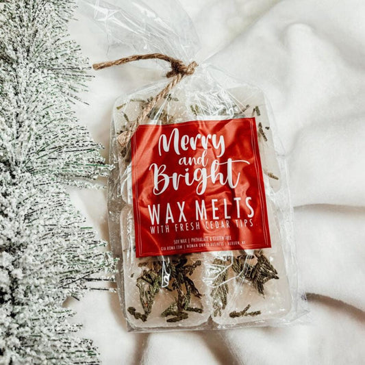 Pack of 'Merry and Bright XL Wax Melts' with snow covered cedar tips on a white background.