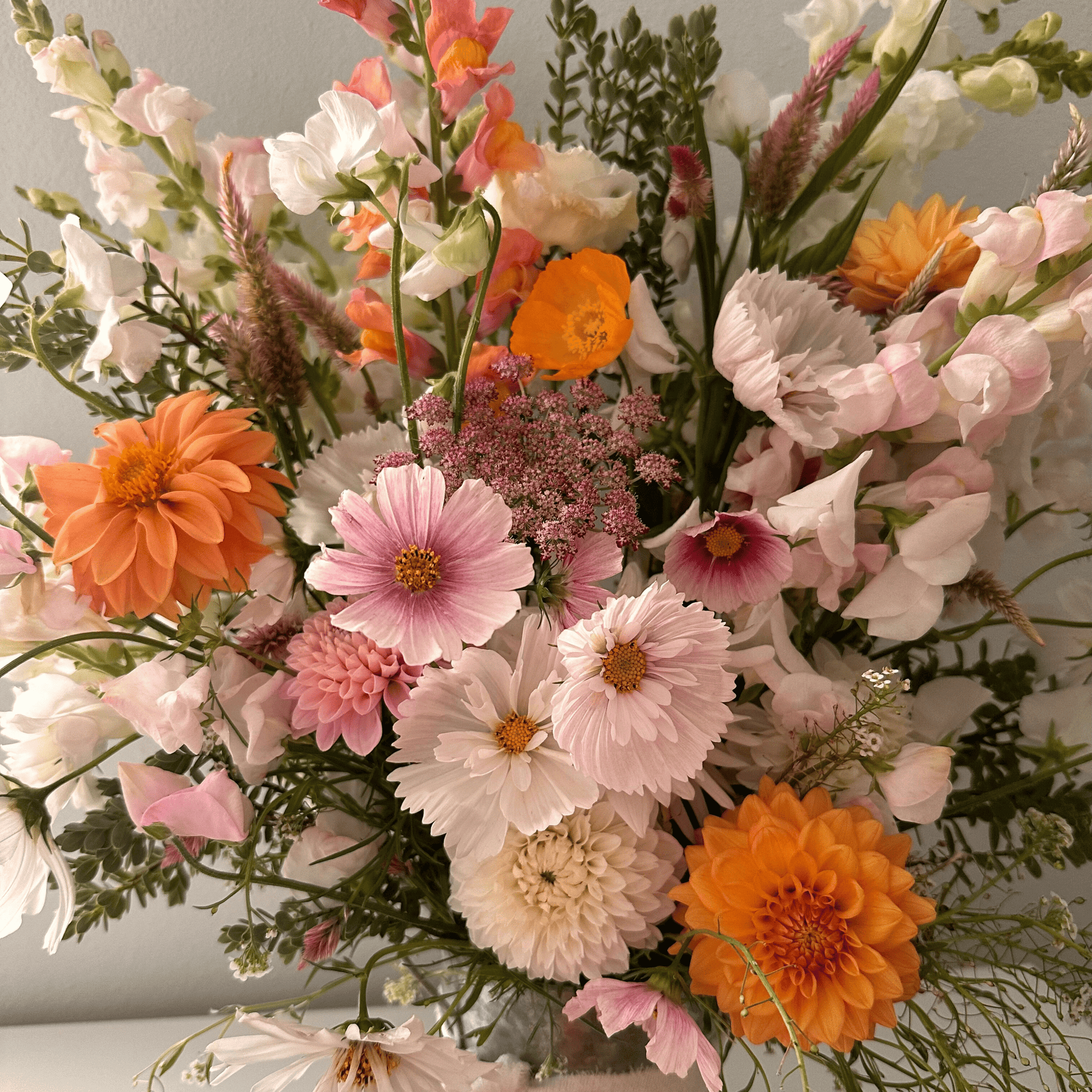 Close up of dahlias, cosmos, snapdragons, poppies and more grown & arranged in a grand display by Little Mountain Flowers.