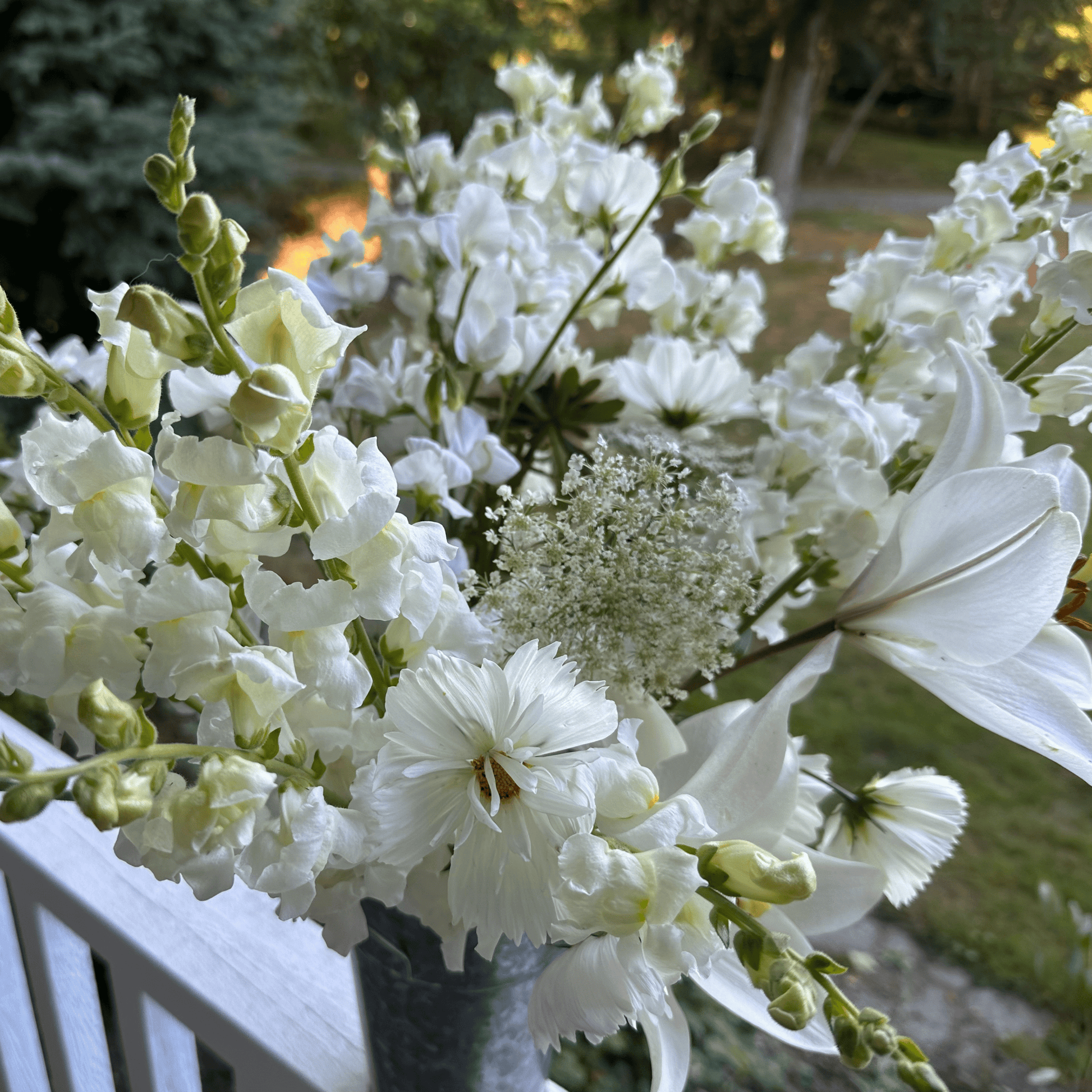 Lilies, cosmos, snapdragons, queen and Anne's lace grown & arranged in a galvanized metal vase by Little Mountain Flowers